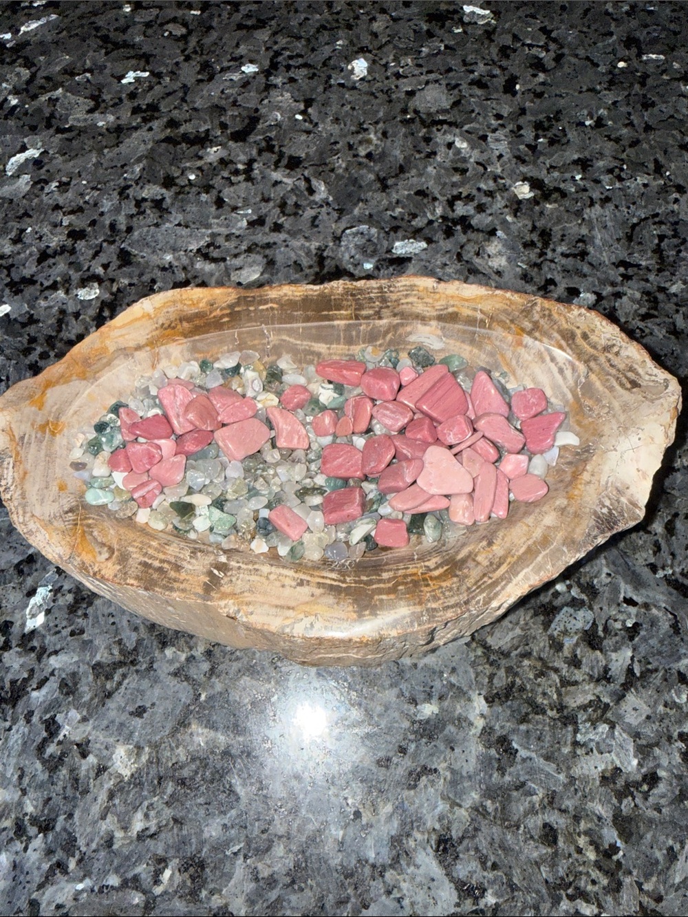Petrified Wood Custom Bowl A 4.75 x 8.25 4+ LBS - Picture 11 of 12